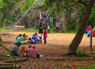 parents and kids in a playground; parenting connections