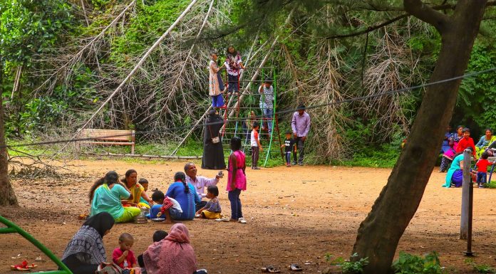 parents and kids in a playground; parenting connections