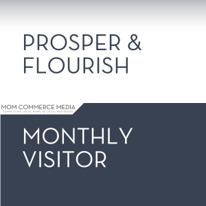 Monthly Visitor-Member Meeting Fee