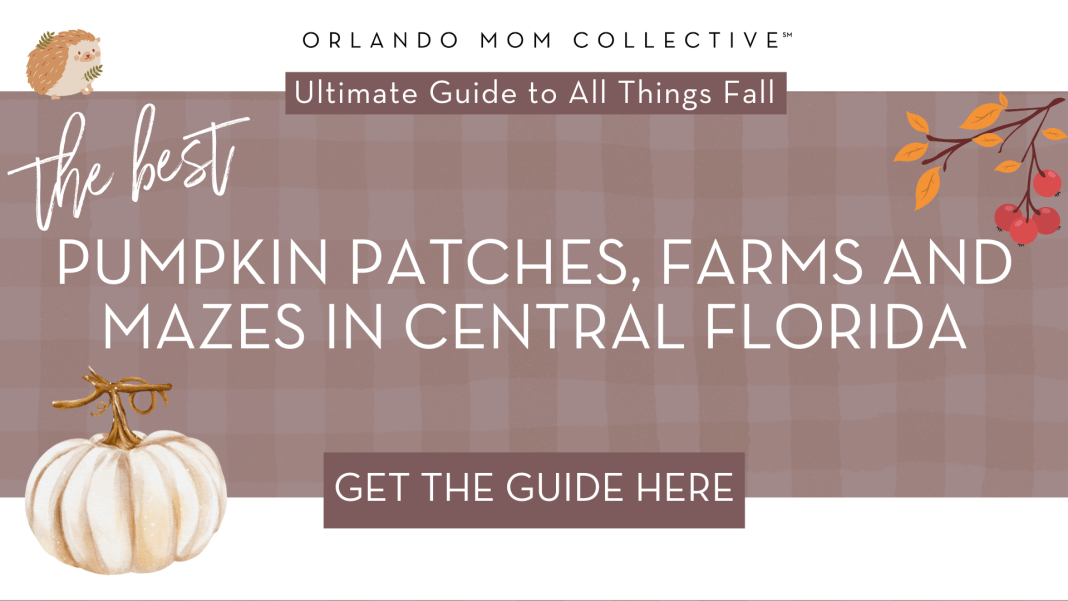 pumpkin patches, farms and mazes in central florida brown and tan gingham with cream pumpkin, hedgehog and branch with orange and red leaves with words 'the best pumpkin patches, farms and mazes in central florida'