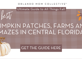 Guide to Pumpkin Patches in Central Florida brown and tan gingham with cream pumpkin, hedgehog and branch with orange and red leaves with words 'the best pumpkin patches, farms and mazes in central florida'