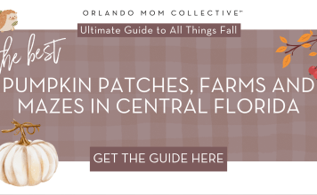 Guide to Pumpkin Patches in Central Florida brown and tan gingham with cream pumpkin, hedgehog and branch with orange and red leaves with words 'the best pumpkin patches, farms and mazes in central florida'