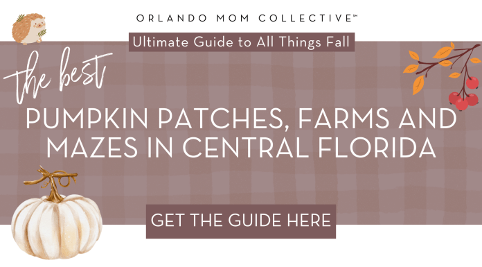 Guide to Pumpkin Patches in Central Florida brown and tan gingham with cream pumpkin, hedgehog and branch with orange and red leaves with words 'the best pumpkin patches, farms and mazes in central florida'