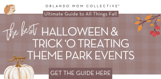 tan and brown gingham with pumpkin, hedgehog and branch with 'the best halloween & trick-o-treating theme park events' in the middle