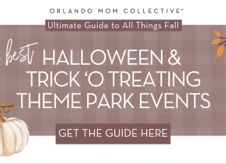 tan and brown gingham with pumpkin, hedgehog and branch with 'the best halloween & trick-o-treating theme park events' in the middle