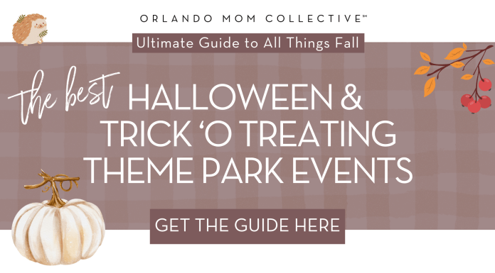 Fall Theme Park Events tan and brown gingham with pumpkin, hedgehog and branch with 'the best halloween & trick-o-treating theme park events' in the middle