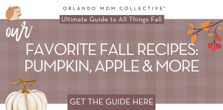 Favorite Fall-Time Recipes brown and tan gingham with cream pumpkin, hedgehog and branch with orange and red leaves with words 'our favorite fall recipes: pumpkin, apple and more'