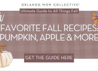 Favorite Fall-Time Recipes brown and tan gingham with cream pumpkin, hedgehog and branch with orange and red leaves with words 'our favorite fall recipes: pumpkin, apple and more'