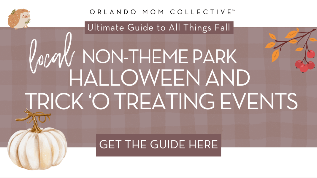 tan and brown gingham with pumpkin, hedgehog and branch with 'local non-theme park halloween and trick-o-treating events' in the middle