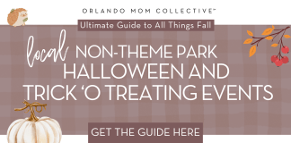 Guide to Halloween Events + Trick or Treating tan and brown gingham with pumpkin, hedgehog and branch with 'local non-theme park halloween and trick-o-treating events' in the middle