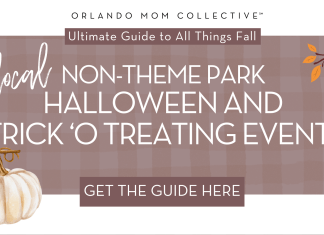 tan and brown gingham with pumpkin, hedgehog and branch with 'local non-theme park halloween and trick-o-treating events' in the middle