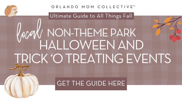 Guide to Halloween Events + Trick or Treating tan and brown gingham with pumpkin, hedgehog and branch with 'local non-theme park halloween and trick-o-treating events' in the middle