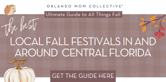 tan and brown gingham background with cream pumpkin, hedgehog and branch with orange and red leaves on it with words 'the best local fall festivals in and around central florida' in the middle.