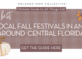Fall Festivals in Central Florida tan and brown gingham background with cream pumpkin, hedgehog and branch with orange and red leaves on it with words 'the best local fall festivals in and around central florida' in the middle.