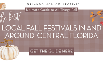 tan and brown gingham background with cream pumpkin, hedgehog and branch with orange and red leaves on it with words 'the best local fall festivals in and around central florida' in the middle.
