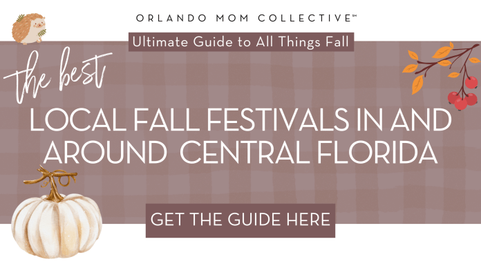 Fall Festivals in Central Florida tan and brown gingham background with cream pumpkin, hedgehog and branch with orange and red leaves on it with words 'the best local fall festivals in and around central florida' in the middle.