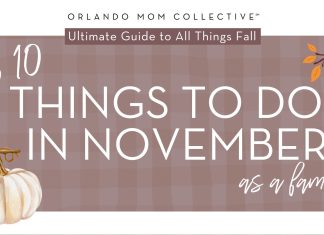 10 Fun Activities this November