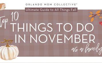 10 Fun Activities this November