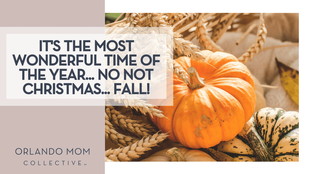 Aesthetes ID via Unsplash orange pumpkin on top of a yellow and green pumpkin with wheat behind it and 'It's the most wonderful time of the year... no not Christmas... FALL!' on the left