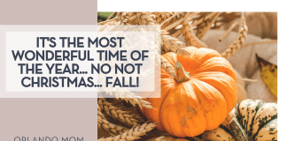 Aesthetes ID via Unsplash orange pumpkin on top of a yellow and green pumpkin with wheat behind it and 'It's the most wonderful time of the year... no not Christmas... FALL!' on the left