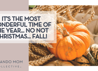 Aesthetes ID via Unsplash orange pumpkin on top of a yellow and green pumpkin with wheat behind it and 'It's the most wonderful time of the year... no not Christmas... FALL!' on the left