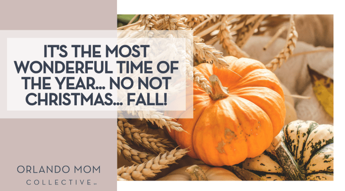 Aesthetes ID via Unsplash orange pumpkin on top of a yellow and green pumpkin with wheat behind it and 'It's the most wonderful time of the year... no not Christmas... FALL!' on the left
