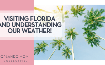 Visiting Florida and Understanding our Weather!