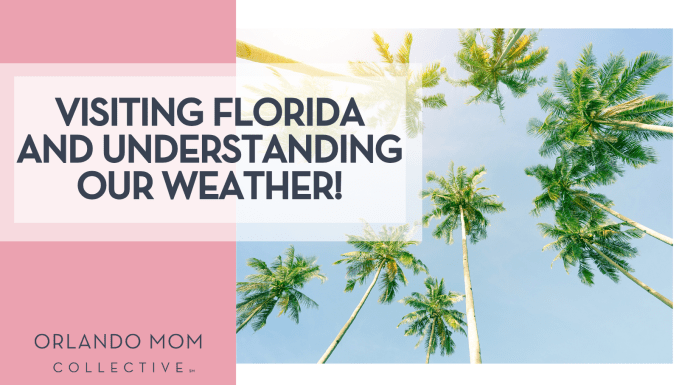 Visiting Florida and Understanding our Weather!