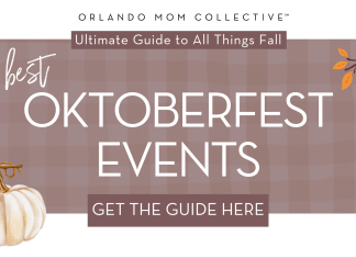 tan and brown gingham background with cream pumpkin, hedgehog and branch with orange and red leaves on it with 'oktoberfest events' in the middle