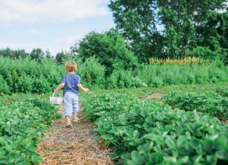 young child in the garden with a basket facing away from the camera, eco-friendly gardening