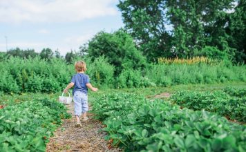 young child in the garden with a basket facing away from the camera, eco-friendly gardening