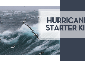 bird flying over choppy waters via Unsplash with words 'hurricane starter kit' on the right side