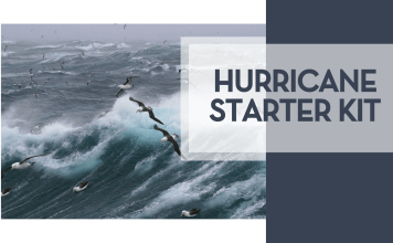 Hurricane Starter Kit bird flying over choppy waters via Unsplash with words 'hurricane starter kit' on the right side