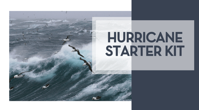 Hurricane Starter Kit bird flying over choppy waters via Unsplash with words 'hurricane starter kit' on the right side