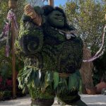 Topiary Maui