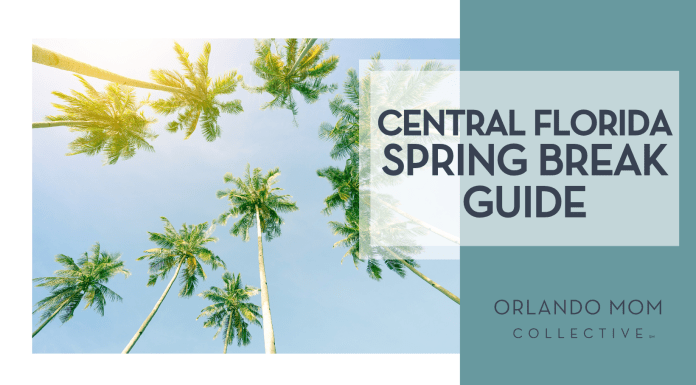 Central Florida Spring Break Guide