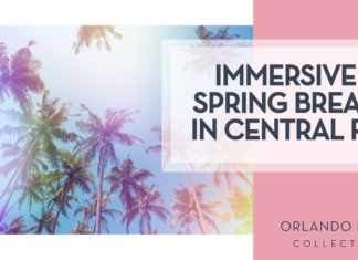 Immersive Spring Break Experiences in the Orlando Area