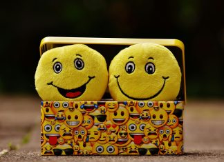 box of emojis with two plushie emoji for emoji slang