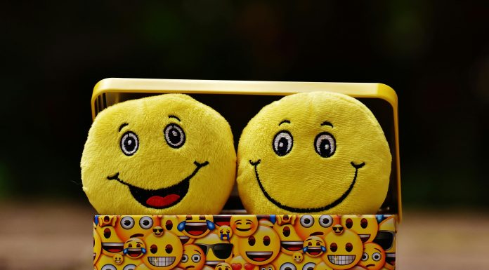 box of emojis with two plushie emoji for emoji slang