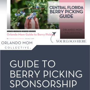 Sponsor: 2026 Guide to Berry Picking
