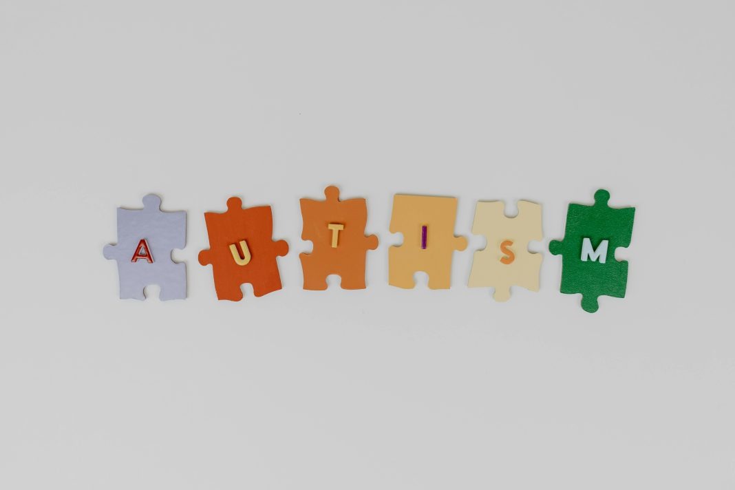graphic that has 6 puzzle pieces that states "autism" for mental health of autistic kids