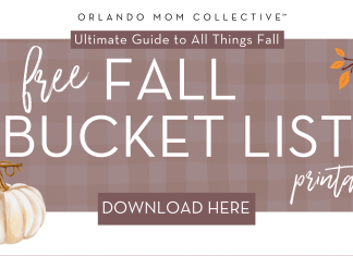 Fall Bucket List + Printable