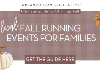 Fall Running Events in Central Florida tan and brown gingham with pumpkin, hedgehog and branch with organs and red leaves with 'local fall running events for families' in the middle.