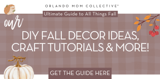 Fall Decor & Crafts! brown and tan gingham with cream pumpkin, hedgehog and branch with orange and red leaves with words "our diy fall decor ideas, craft tutorials & more"