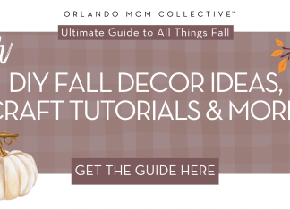 brown and tan gingham with cream pumpkin, hedgehog and branch with orange and red leaves with words "our diy fall decor ideas, craft tutorials & more"
