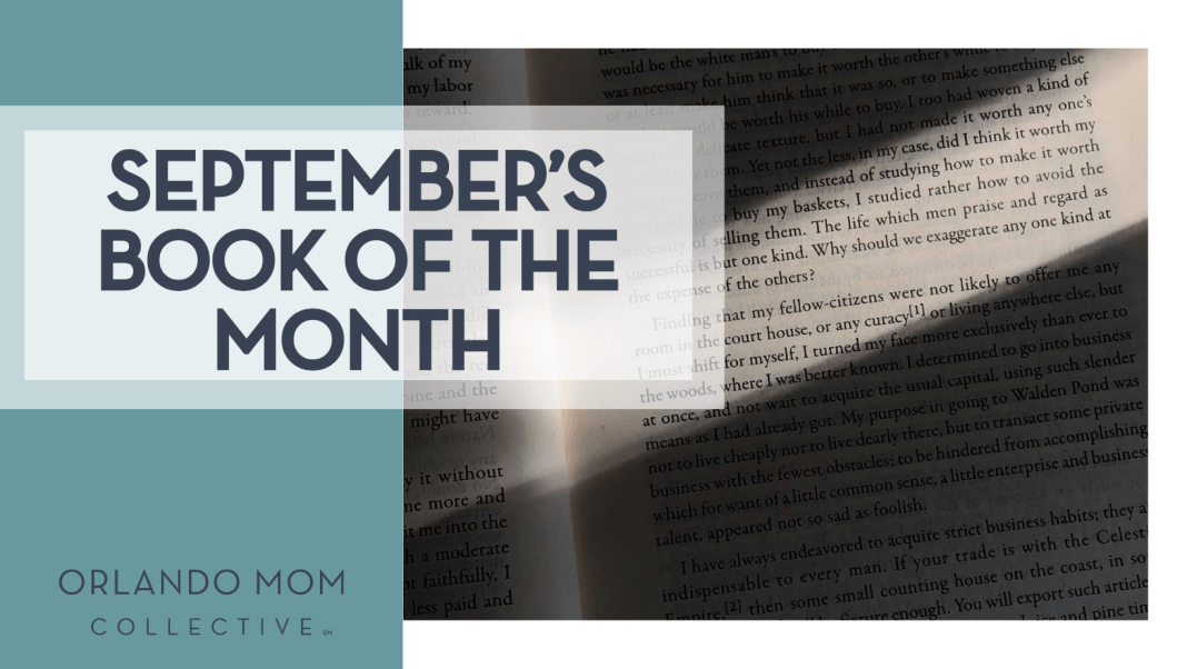 September’s book of the month Abinash Jothimani via Unsplash open book with shadows on most of the book page with a strip of light across the middle