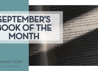 Orlando Mom Book Club: Book of the Month for September 2025 Abinash Jothimani via Unsplash open book with shadows on most of the book page with a strip of light across the middle