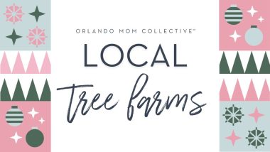 local tree farms