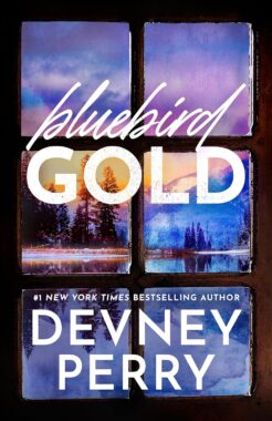 Bluebird Gold by Devney Perry book cover from Amazon
