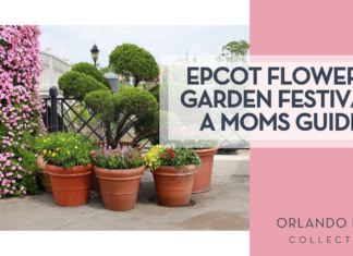 A Mom’s Guide to Flower and Garden Festival